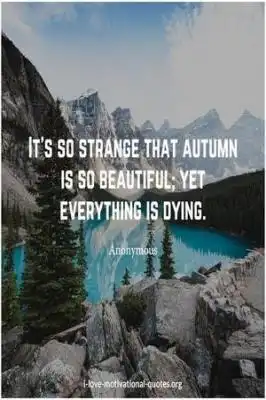 funny quote about nature