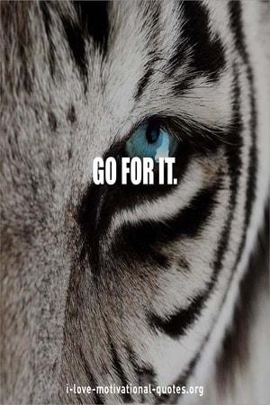 inspirational bodybuilding quotes