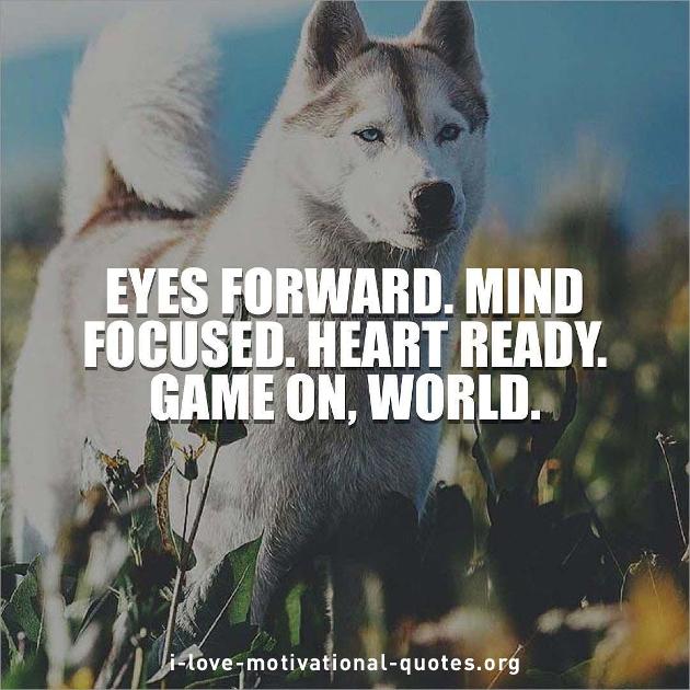 motivational martial arts quotes