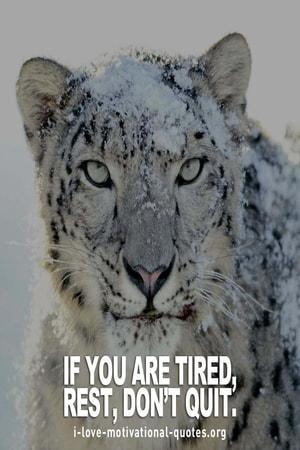 good motivational workout quotes