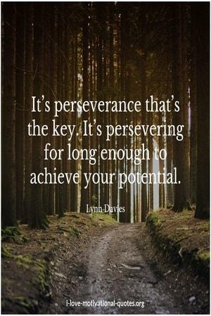 quotes about perseverance and potential