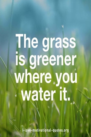 beautiful motivational quotes