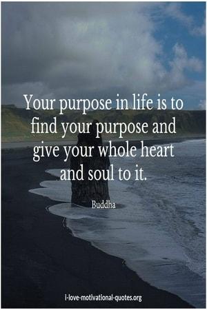 Buddha quotes