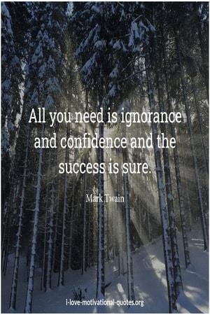 sayings about confidence and ignorance