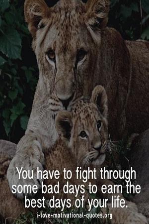 famous quotes about success