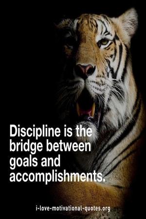 good quotes about goal setting