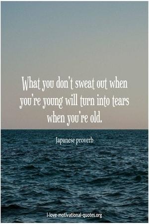 traditional japanese proverbs