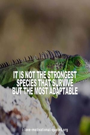 motivational self help quotes