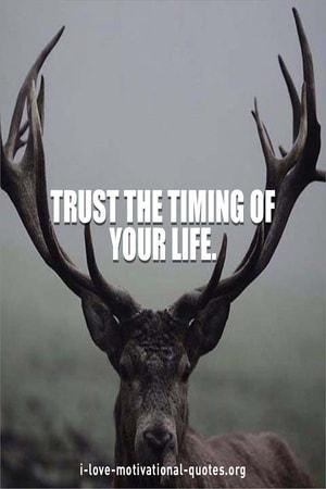 quotes about timing