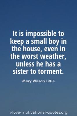 Mary Wilson Little quotes