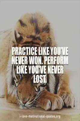 quote about performance