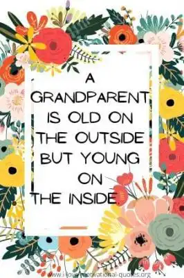 love grandma quotes