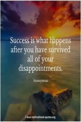 quotes about disappointments and success