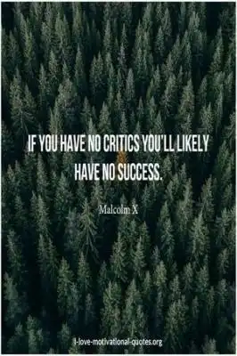 Quotes about critics and success